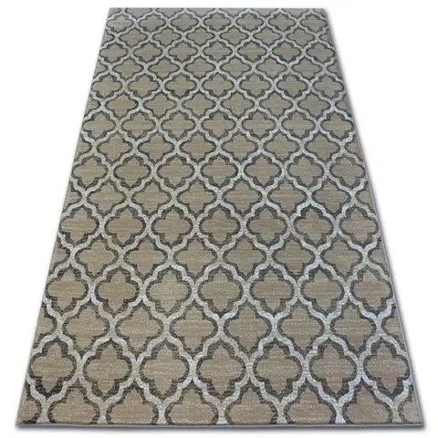 Koberce a koberečky Dywany Lusczow Kusový koberec ARGENT - W4030 trellis béžový, velikost 160x220