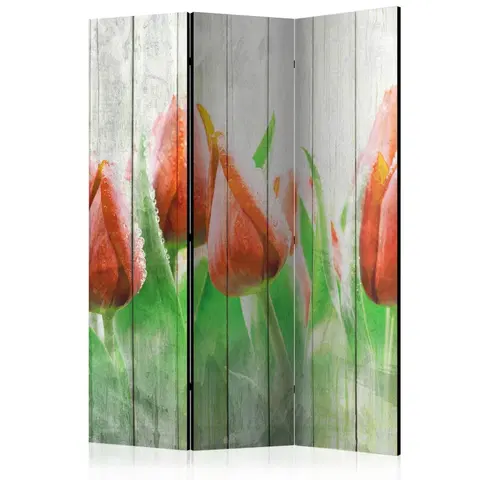 Paravány Paraván Red tulips on wood Dekorhome 135x172 cm (3-dílný)