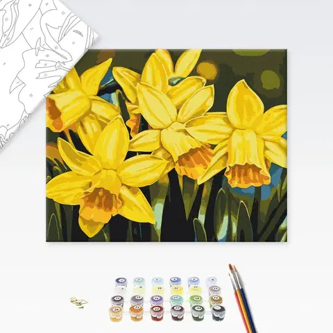 Květy Malování podle čísel květiny narcisů