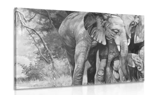 Černobílé obrazy Obraz sloní rodinka v černobílém provedení