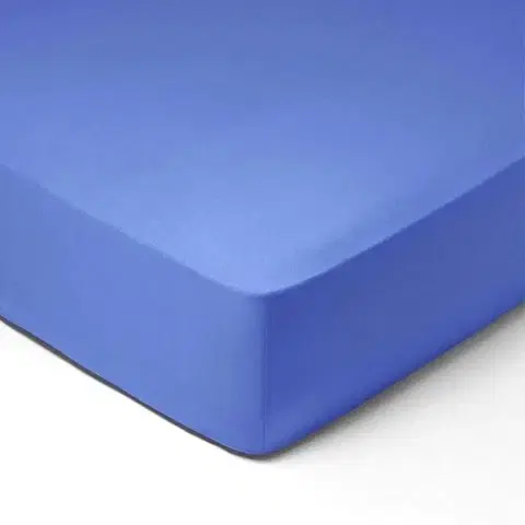 Prostěradla Forbyt, Prostěradlo, Jersey, světle modrá 100 x 220 cm