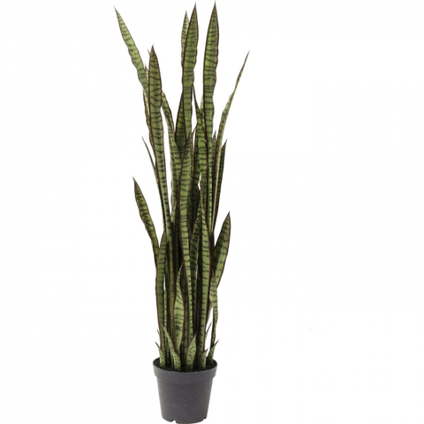 Umělé rostliny KARE Design Umělá rostlina Tchýnin jazyk Sansewieria 155cm