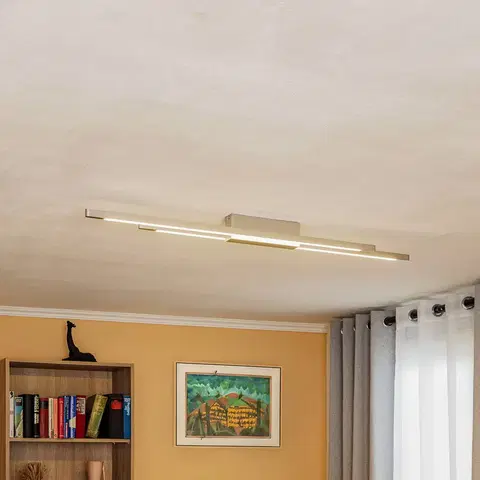 Stropní svítidla quitani Quitani Talon LED stropní 2x hliník/přírodní elox