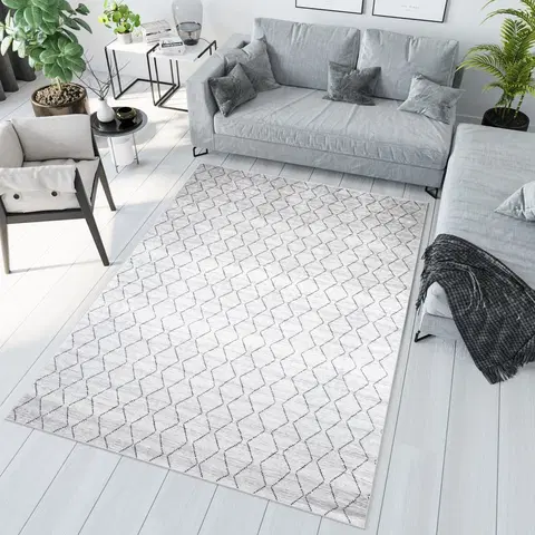 Moderní koberce Světle šedý moderní koberec s jednoduchým vzorem