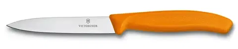 Kuchyňské nože Victorinox 6.7706.L119 10 cm