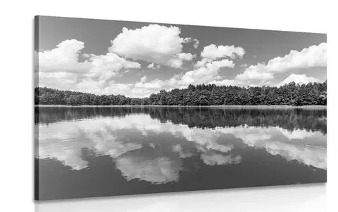 Černobílé obrazy Obraz příroda v letním období v černobílém provedení