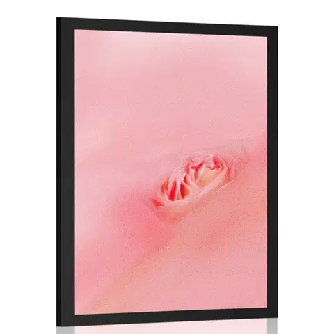 Motivy z naší dílny Plakát v objetí růžové