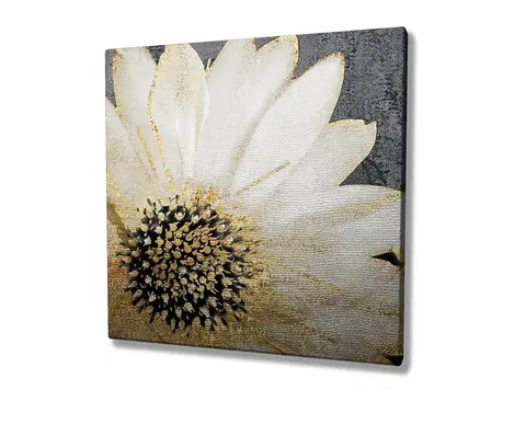 Obrazy Wallity Obraz na plátně Whispering flower KC165 45x45 cm