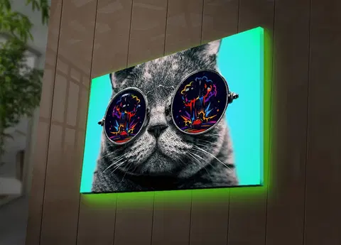 Obrazy Nástěnný obraz s LED osvětlením CAT