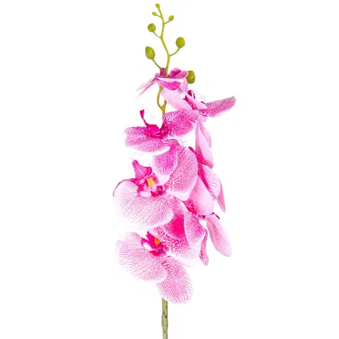 Květiny Umělá Orchidej tm. růžová, 86 cm