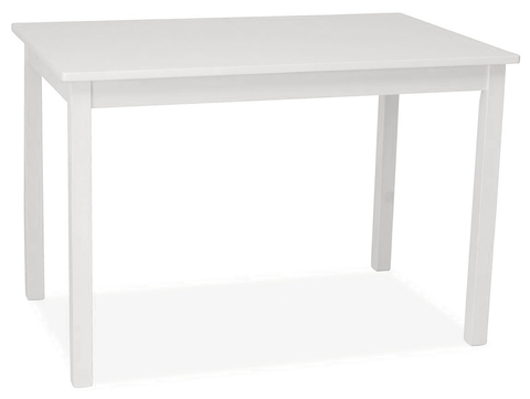 Jídelní stoly Jídelní stůl REBER 110x70 cm, bílá 