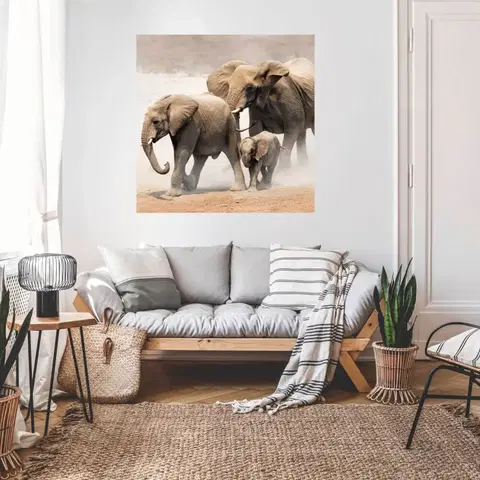 Samolepky na zeď Samolepky na zeď s motivem zvířat - Sloni