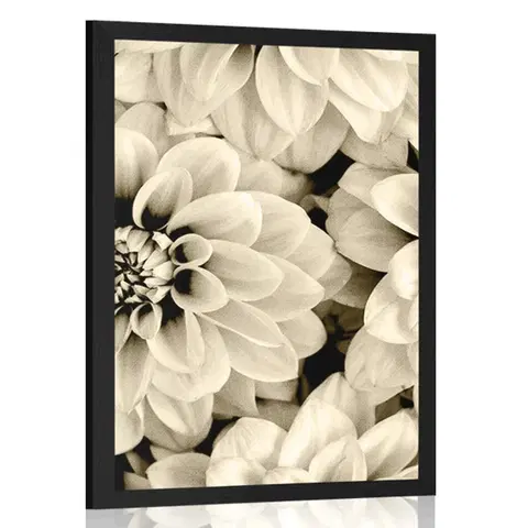 Černobílé Plakát květiny dálí v sépiovém provedení