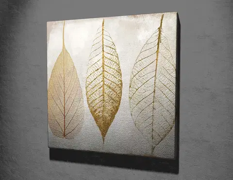 Obrazy Hanah Home Obraz Gold Leaves 45x45 cm