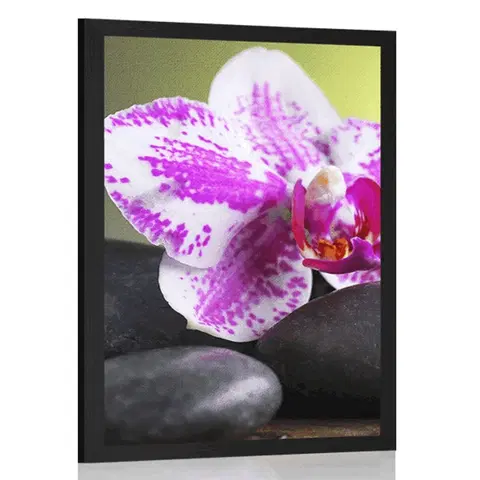 Feng Shui Plakát orchidej a černé kameny