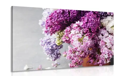 Obrazy květů Obraz šeřík v růžových odstínech
