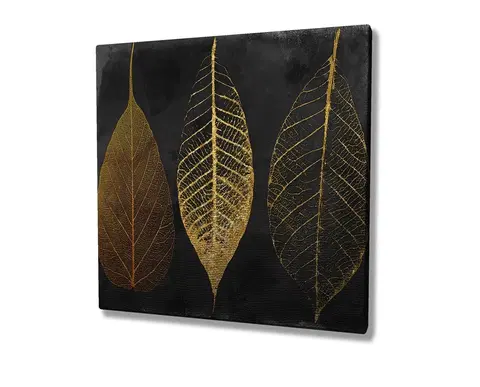 Obrazy Wallity Obraz na plátně Leaves KC139 45x45 cm