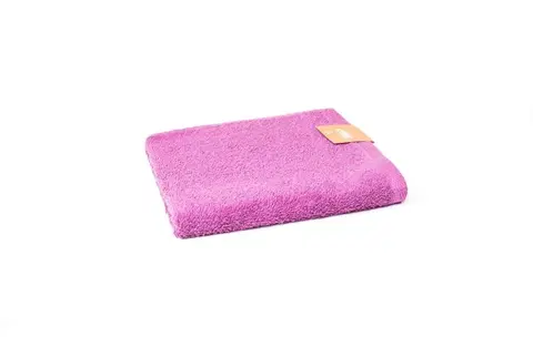 Ručníky Faro Bavlněný ručník Hera 50x100 cm fialový