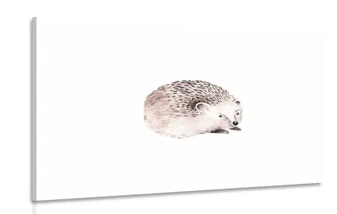 Dětské obrazy Obraz roztomilý ježek