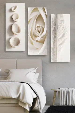 Obrazy Hanah Home Sada obrazů Bílá růže 20x50 cm 3 ks