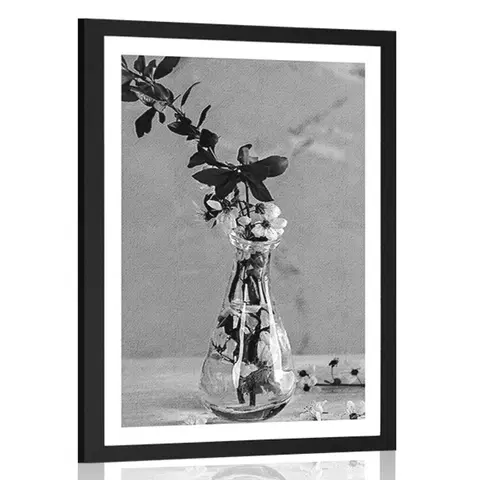 Černobílé Plakát s paspartou větvička třešně ve váze v černobílém provedení