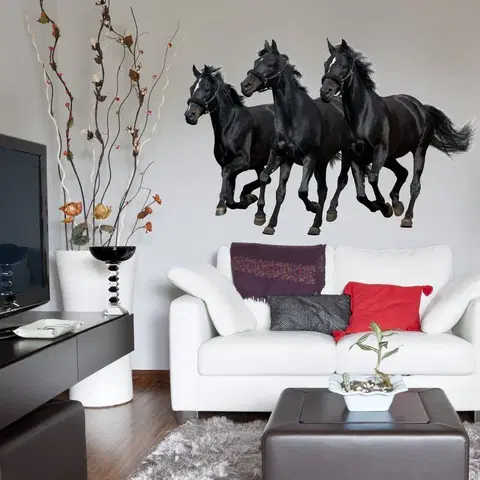 Samolepky na zeď Samolepka na zeď - Tři černé koně