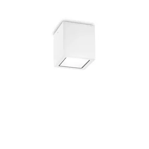 Moderní venkovní stropní svítidla Venkovní stropní přisazené svítidlo Ideal Lux TECHO PL1 SMALL BIANCO 251561 GU10 1x20W IP54 9cm bílé