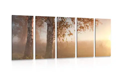 Obrazy přírody a krajiny 5-dílný obraz mlhavý podzimní les