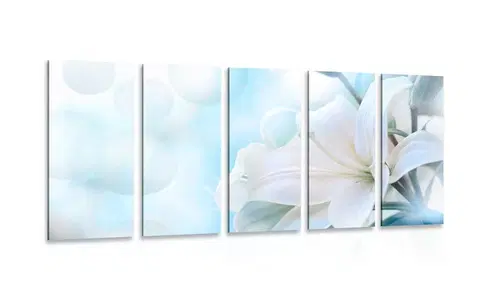 Obrazy květů 5-dílný obraz bílý květ lilie na abstraktním pozadí