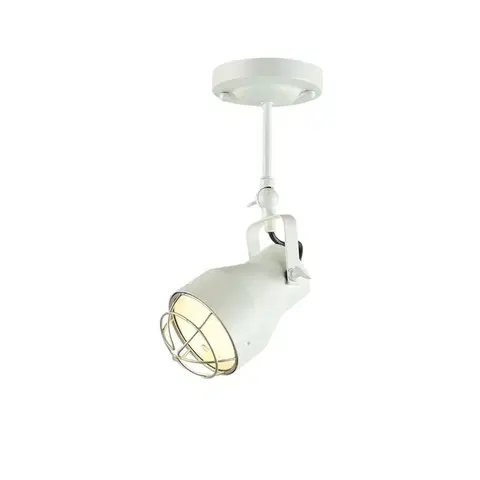 Industriální bodová svítidla ACA Lighting Spot nástěnné a stropní svítidlo EG169901CW