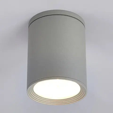 Venkovní stropní osvětlení Lucande Venkovní stropní reflektor Minna, stříbrně šedý