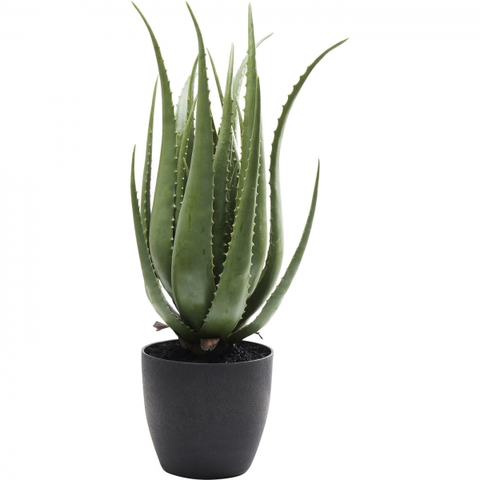 Umělé rostliny KARE Design Umělá rostlina Aloe 69cm
