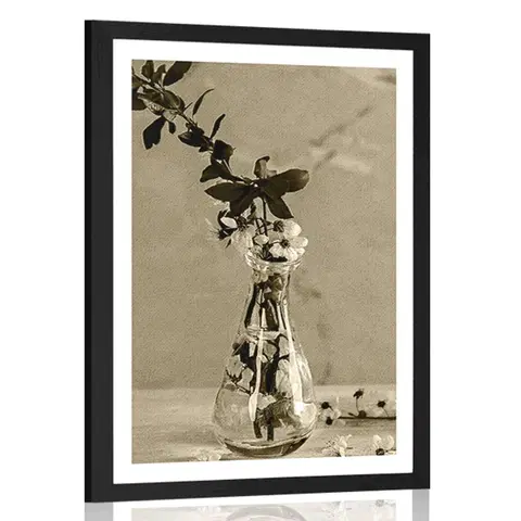 Černobílé Plakát s paspartou větvička třešně ve váze v sépiovém provedení