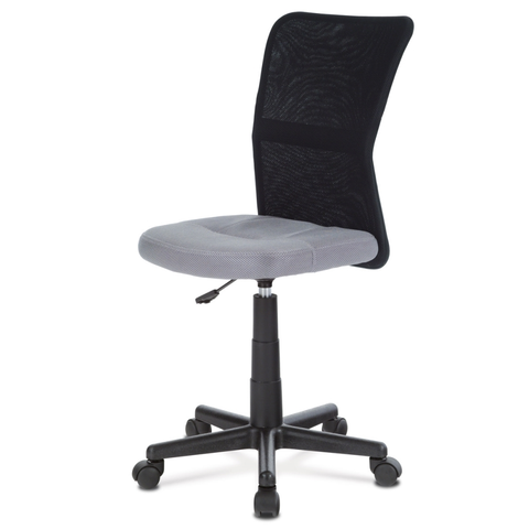 Kancelářské židle Dětská kancelářská židle TRUSKA, šedá / černá