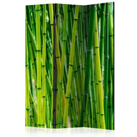 Paravány Paraván Bamboo Forest Dekorhome 135x172 cm (3-dílný)