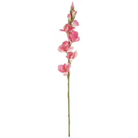 Květiny Umělá květina Gladiola růžová, 10 x 85 x 10 cm