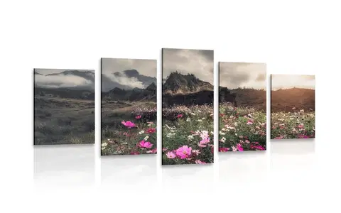 Obrazy přírody a krajiny 5-dílný obraz louka kvetoucích květin