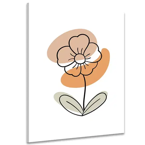 Obrazy květů Obraz minimalistický květ na bílém pozadí No4