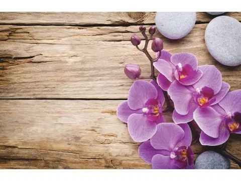 Koupelnové předložky PROHOME - Předložka koupelnová 45x70cm Orchidea