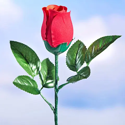 Květinové dekorace Mluvící narozeninová růže