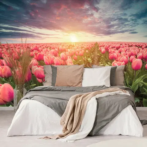 Samolepící tapety Samolepící tapeta východ slunce nad loukou s tulipány