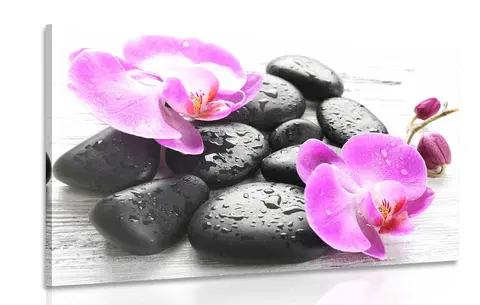 Obrazy Feng Shui Obraz krásná souhra kamenů a orchideje