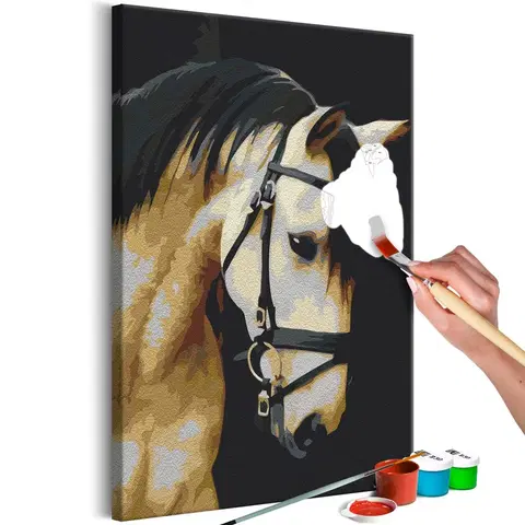 Malování podle čísel Obraz malování podle čísel nádherný portrét koně