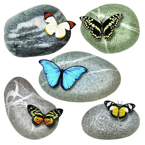 Samolepky na zeď Samolepicí dekorace Butterflies on Stones, 30 x 30 cm