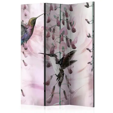 Paravány Paraván Flying Hummingbirds (Pink) Dekorhome 135x172 cm (3-dílný)