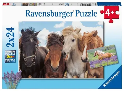 Hračky puzzle RAVENSBURGER - Fotky Koní 2X24 Dílků