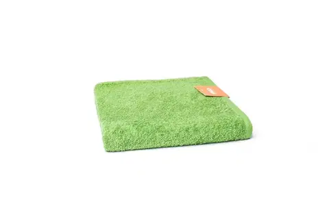 Ručníky Faro Bavlněný ručník Hera 50x100 cm zelený