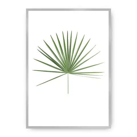 Obrazy a plakáty Plakát Tropical Leaf Green