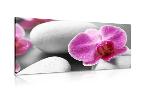 Obrazy Feng Shui Obraz květiny orchideje na bílých kamenech