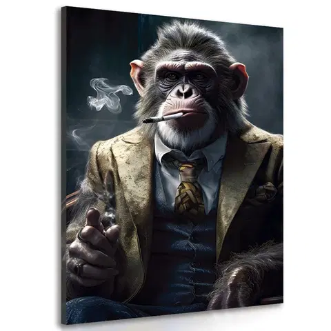 Obrazy zvířecí gangsteři Obraz zvířecí gangster šimpanz